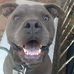 Profile Picture of Kevin Hanna (@kevin.hanna.3517) on Facebook