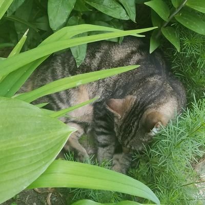 Profile Picture of Rusty Jenkins (@RustyJe29282778) on Twitter
