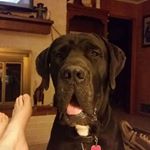 Profile Picture of Kathleen Fields (@kfields1946) on Instagram