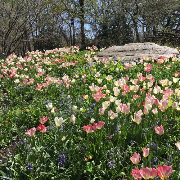 Profile Picture of Debbie Jaurigue (@debj99) on Poshmark