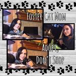 Profile Picture of Kristi Foreman (@fosterkittens405) on Instagram