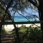 Profile Picture of Greg Allison (@big_chubby56) on Instagram