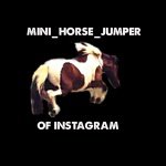 Profile Picture of Julia Bentley (@mini_horse_jumper) on Instagram