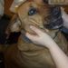 Profile Picture of Crystal Fallis (@kealtansmomma) on Pinterest