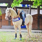 Profile Picture of FORTE RANCH (@tangosteel_cal) on Instagram
