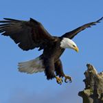 Profile Picture of Herminio Vélez Garibay (@hermes.v.g) on Instagram