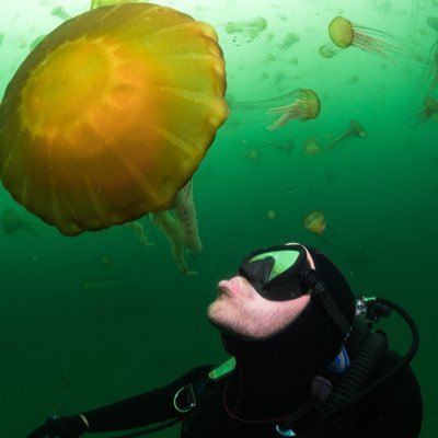 Profile Picture of  🌊 Pat  🌊 (@underwaterpat) on Twitter
