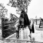 Profile Picture of Adriano Scherer (@adrianorscherer) on Instagram