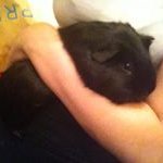 Profile Picture of Aleah Herriott (@herriottaleah) on Instagram