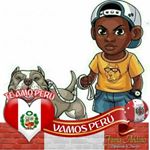 Profile Picture of Angelo Zegarra (@angelo.zegarra.98) on Instagram