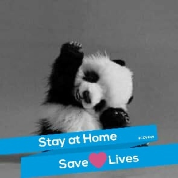 Profile Picture of Tammy Bradigan (@angelstar0909) on Poshmark