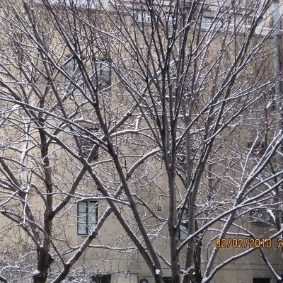 Profile Picture of Richard O. Roper (@nightmanager) on Twitter