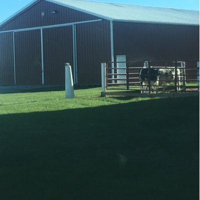 Profile Picture of KimRuggles (@rugsmk) on Twitter