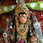 Profile Picture of bipin.shah.167189 (@bipin.shah.167189) on Flickr