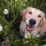 Profile Picture of John Fred (@johnfred.277612) on Facebook