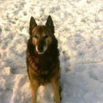 Profile Picture of Jean-paul Giry-romiguier (@giryromiguier) on Instagram