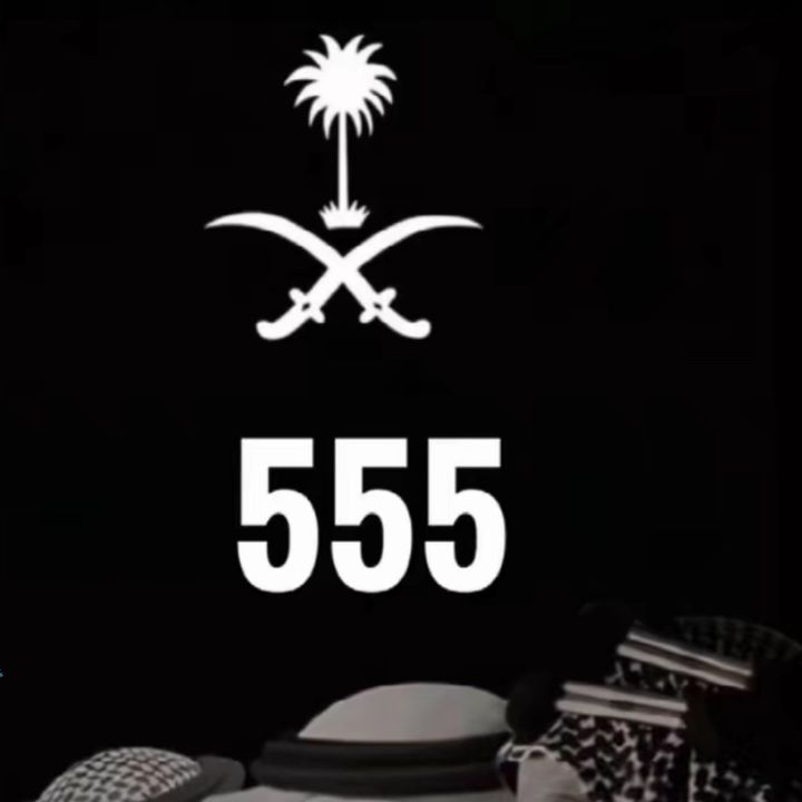 Profile Picture of Felons (@flkons) on Tiktok