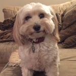 Profile Picture of Geoff Garrett (@ggarrett99) on Instagram