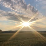 Elwira Nilsson - Facebook Profile Picture of Elwira Nilsson (@Elwira-Nilsson) on Facebook