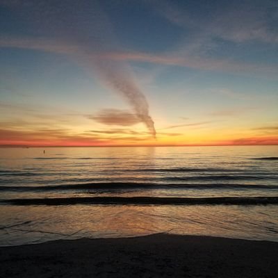 Profile Picture of Vanessa Dinh (@dinh_vanessa) on Twitter