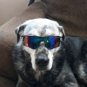 Profile Picture of William Powers (@williampowers5945) on Youtube