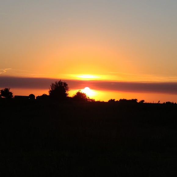 Profile Picture of Joyce truax Donnelly (@cookies822) on Poshmark