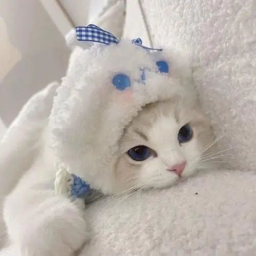 Profile Picture of marilynnvarty (@marilynnvarty) on Tiktok