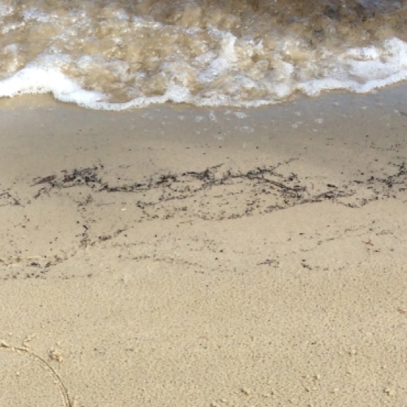 Madison Adolphsen - Poshmark Profile Picture of Madison Adolphsen (@mads_0323) on Poshmark