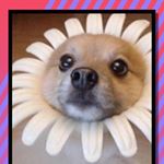 Profile Picture of Kymberleh Rymer (@_kim.rimer._) on Instagram