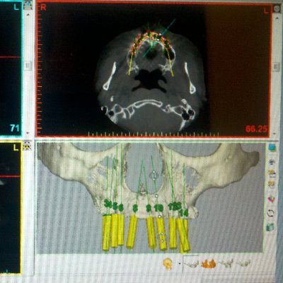 Profile Picture of Ariel Trujillo DMD (@azperiogroup) on Twitter