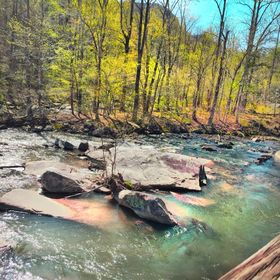 Profile Picture of Maria Bitros (@bitrosmaria) on Pinterest