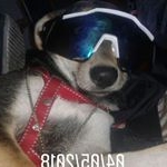 Profile Picture of Hugo Andres Patiño (@hugoandrespatino) on Instagram