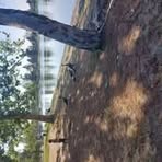 Profile Picture of Lucia Cordero (@Lucia-Cordero) on Facebook