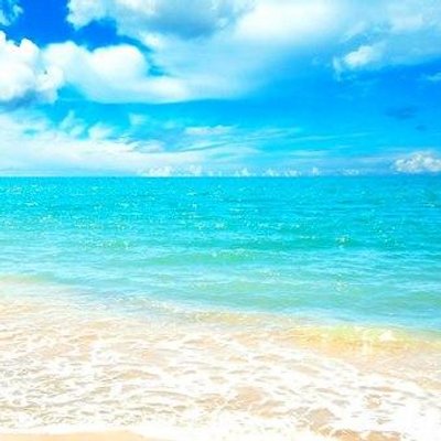 Profile Picture of David Rothstein (@Roth_Stein_Show) on Twitter