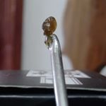 Profile Picture of Moisés Ruvalcaba González (@moisesruvalcabagonzalez) on Instagram