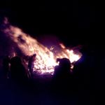 Profile Picture of Bianka Benischke (@biankabeni) on Instagram