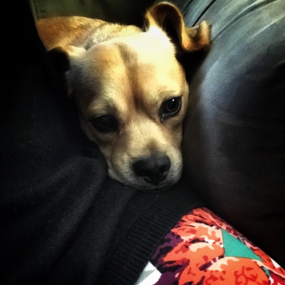 Stephanie Tavis - Poshmark Profile Picture of Stephanie Tavis (@mamatavi) on Poshmark