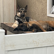 Profile Picture of CARLO JACKSON (@CARLOJACKSON-gg1kp) on Youtube