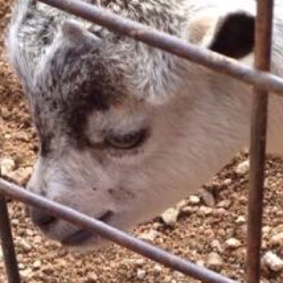 Paige Beissert - Poshmark Profile Picture of Paige Beissert (@paigembeissert) on Poshmark