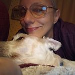 Profile Picture of Julie Sottile Sugrue (@julie.sugrue.7) on Instagram