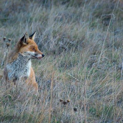 Profile Picture of Andy Money Photography (@JackieMugisa) on Twitter