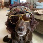 Profile Picture of Dove Bailey (@dove_bailey2) on Instagram