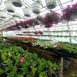 Profile Picture of Kristina Getts (@flovergetts) on Instagram