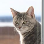 Profile Picture of François LeMotard Gariépy (@gariepy.francois) on Instagram