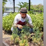 Profile Picture of Robert McNally (@chef_robert_mcnally) on Instagram