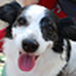 Profile Picture of Doron I (@doron i) on Flickr