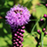 Profile Picture of meniscus1 (@meniscus1) on Flickr