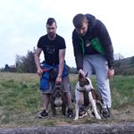 Philip Collins - Instagram Profile Picture of Philip Collins (@philipcollins.collins) on Instagram