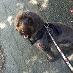 Profile Picture of Merlin (@merlin_frankiex) on Instagram