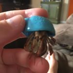 Profile Picture of Madeline Royal (@madeline.royal) on Instagram